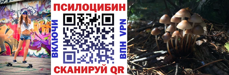 Галлюциногенные грибы MAGIC MUSHROOMS  Покров 