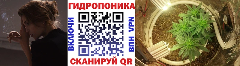 Шишки марихуана VHQ Покров